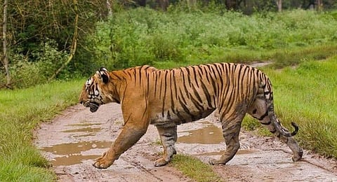 Image used for representational purposes only. (File Photo | PTI)