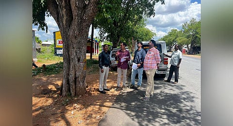 The highways department had proposed to cut 644 trees to make a 30-km stretch into a four-lane road. (Photo | Express)