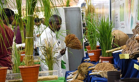 The expo opened newer possibilities with a wider network of people, officials said. (Photo | Express)