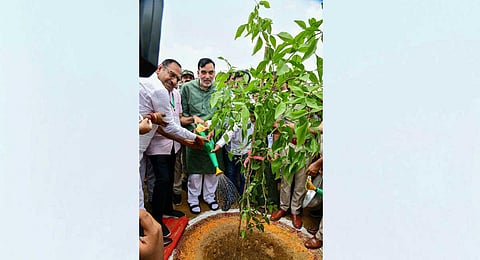 Delhi Environment Minister Gopal Rai plants a sapling during a 'Van Mahotsav' organised at Asola Bhati Wildlife Sanctuary, in New Delhi, Sunday, July 30, 2023. (PTI)