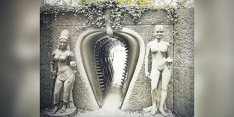 The park in Ireland is designed for people aged 28 to 60 years