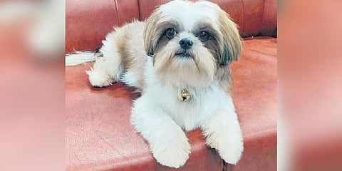 For representational purposes