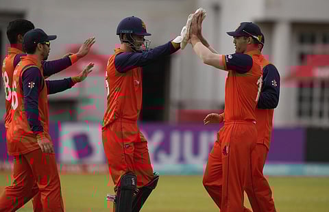 The Netherlands team celebrating a wicket (Photo | AP)