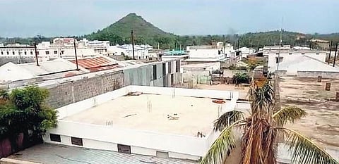 Cheap imports from Vietnam and high processing cost have resulted in a sudden drop in price of cashew to Rs 625 from Rs 800/kg | Express