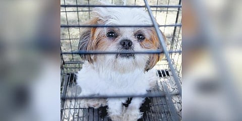 For representational purposes