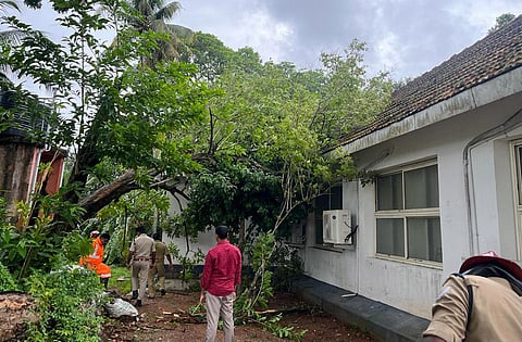 Fire and Rescue Services personnel removing the tree that fell over Cantonment House, the official residence of leader of Opposition V D Satheesan.