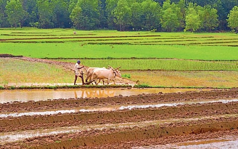 NABARD is one of the major organisations allocating funds to the cooperation sector and the state had placed a request for allocation of Rs 9,200 crore. The Centre has reduced NABARD funds.