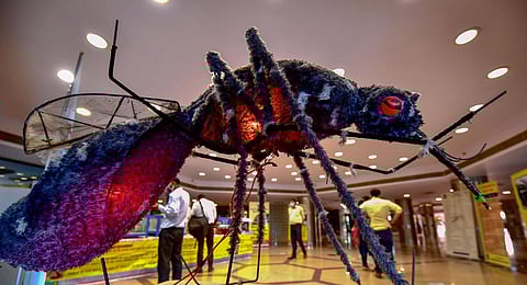 Image used for representational purpose only. (Photo | PTI)