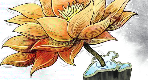 Image used for illustrative purposes only. (Express illustrations)