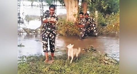 A cop bringing out one of the pups from the abandoned house. (Photo | Express)