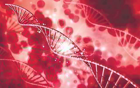 Image used for representational purpose.