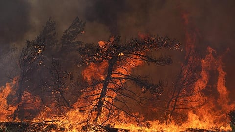 Representative Image