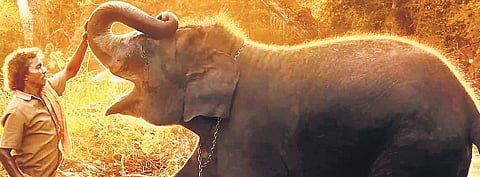 A still from the The Elephant Whisperers