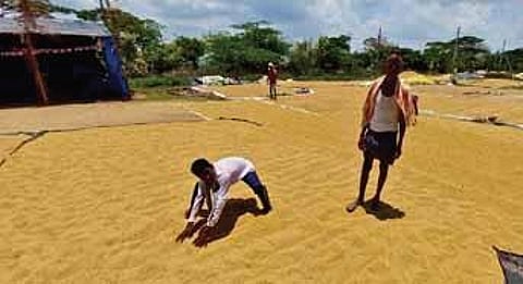 Image used for representational purposes.