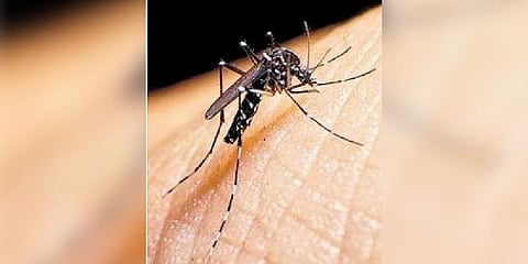 Image used for representational purpose only.