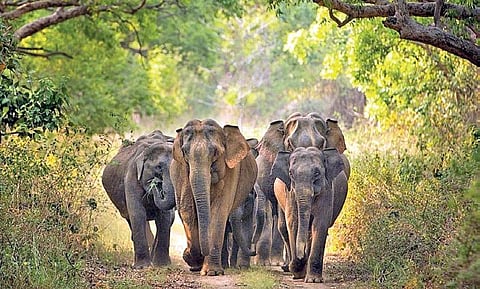 Image used for representational purposes only