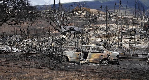 Destroyed homes and cars are shown, in Lahaina, Hawaii. (Photo | AP)