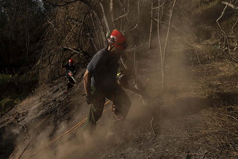 Firefighters clear debris in Kula, Hawaii. (Photo | AP)