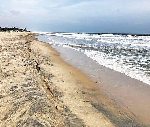 Representative image: Revised coastal zone mangement plan approved. (Photo | EPS)