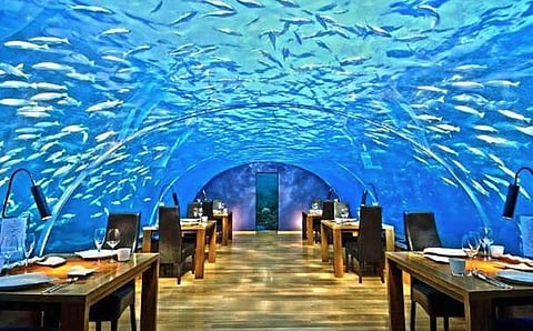 Interested organisations can submit their EOI to the department by October 10 this year.