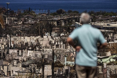 A man views the aftermath of a wildfire in Lahaina, Hawaii, Saturday, Aug. 19, 2023. (Photo | AP)