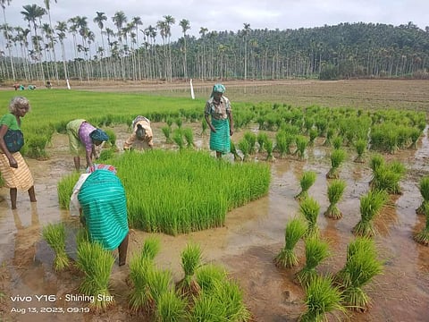 Image used for representational purpose.