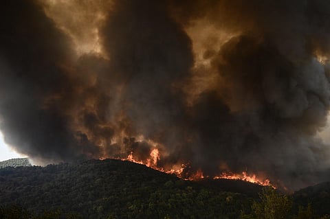 Wildfire rages in a forest in Sikorahi, near Alexandroupoli, northern Greece, on August 23, 2023. (Photo | AFP)