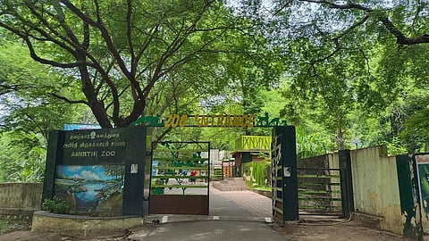 Amirthi zoo