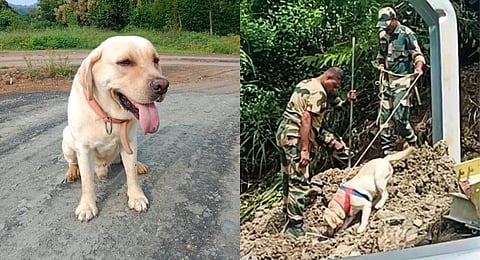Tio (L) during the rescue operation at the collapse site. (Photo | Express)