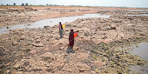 Women in N.Mallkapur walk for 15-20 mins to fetch water from the dried up river bed of Tungabharda river in Raichur district of Karnataka(Photo | Pushkar.V)