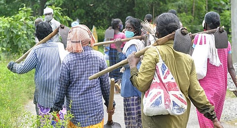 Image used for representational purposes only. (Photo | EPS)