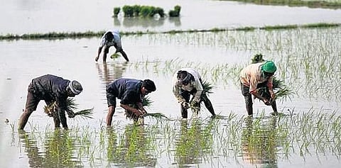 Image used for representational purpose.(Photo | Express)