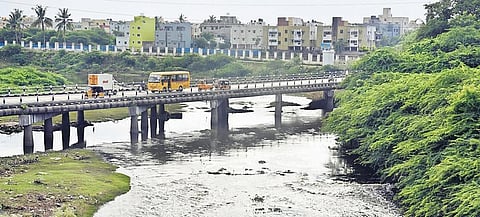 The water resources department is planning to widen the Adyar river near between Thiruneermalai and Anagaputhur to prevent flooding | Martin Louis