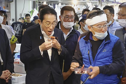 Japan's Prime Minister Fumio Kishida tries a seafood at Toyosu fish market in Tokyo. (Photo | AP)