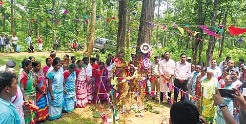 Field Director of Similipal Tiger Reserve Prakash Chand Gogineni tying rakhi to a tree during Raksha Bandhan event in Moroda block of Mayurbhanj district | Express