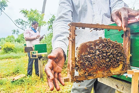 Boosting secondary agriculture