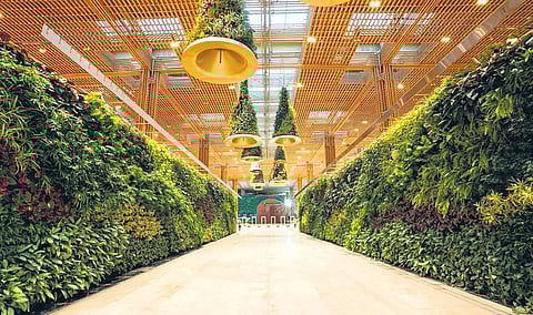 Terminal 2 was inaugurated by Prime Minister Narendra Modi in November last year