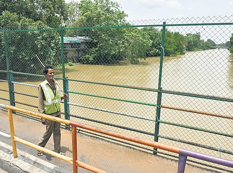 A sanitation worker cleaning the fence in Vijayawada. (Photo I Prasant Madugula)