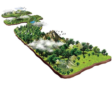 Image used for illustrative purposes only. (Express illustrations)