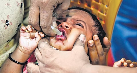 Health dept has been giving 11 types of vaccines to prevent diseases like tuberculosis, diphtheria, tetanus, polio, hepatitis B, measles etc. Representational image