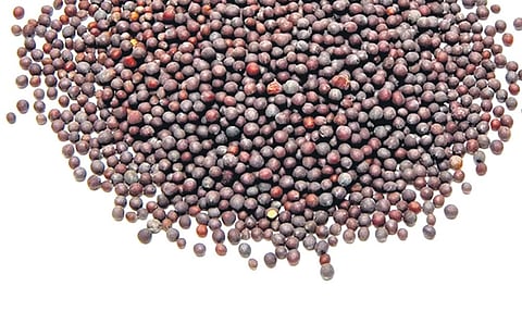 Image used for representational purpose.