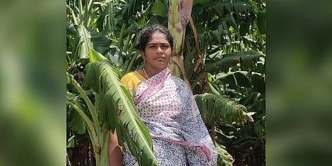 P Bindhu, Farmer from Bomminayakkanpatti village in Periyakulam (Photo | Express)