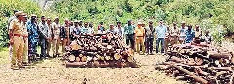 Forest dept officials cremating the tigers after postmortem examination | express