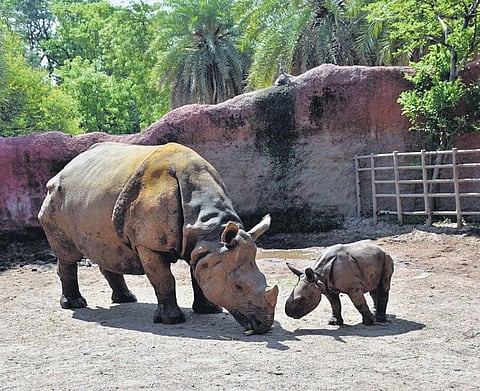 Image used for representational purposes (File Photo)