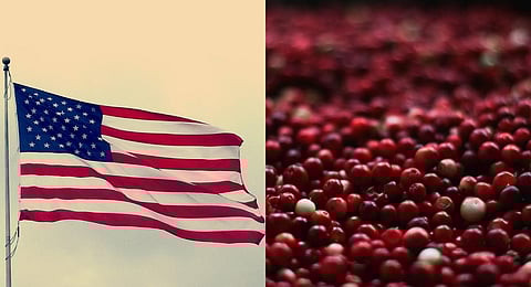 Image used for representational purposes only. (Photo | Pixabay)