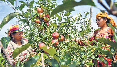 Image used for representational purposes only. (File Photo | Express)