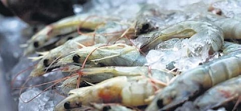 Image used for representational purposes only. (Express Photo)