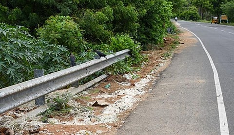 Eagle and birds surround the Uyyakondan canal to get meat wastes dumped by broilers shops at Somarasampettai in Tiruchy on Thursday. | M K Ashok Kumar
