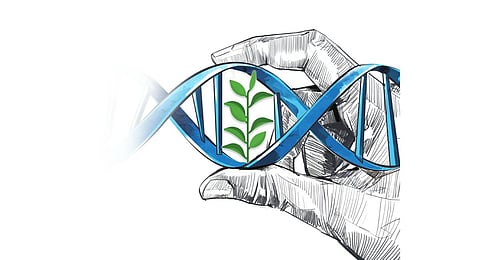 Image used for representational purpose.