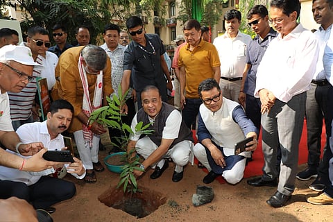 Assam Chief Minister Himanta Biswa Sarma takin part in 'Amrit Brikshya Andolan' to plant one crore saplings. (Photo | Express)